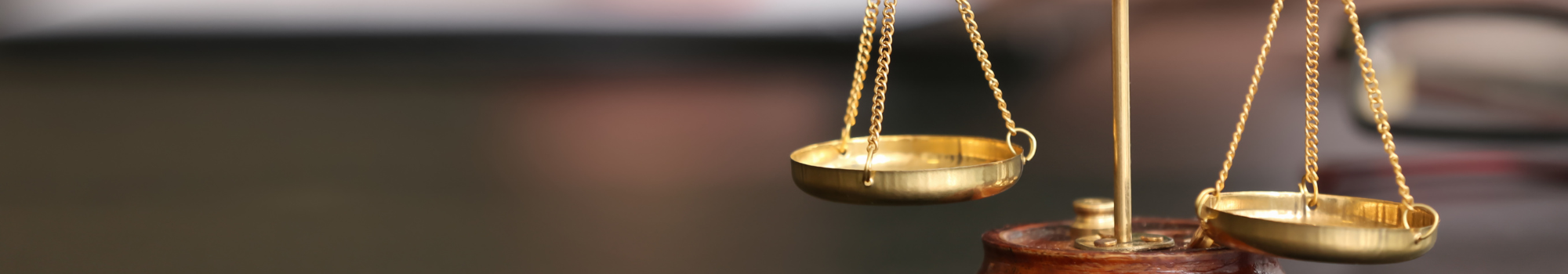 Arbitraje de Equidad. VIRTUDES SANCHEZ SANCHEZ en Sevilla