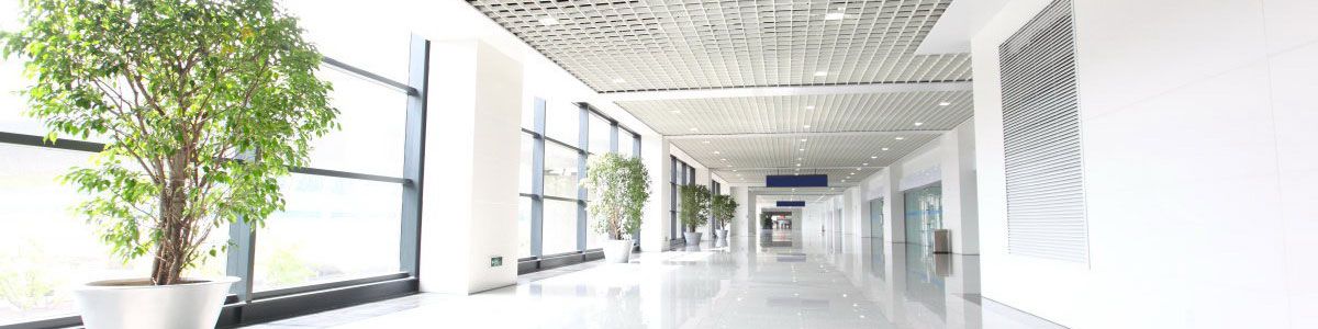  Tenemos hoteles y otros negocios en en la provincia de Sevilla. VIRTUDES SANCHEZ SANCHEZ en Sevilla